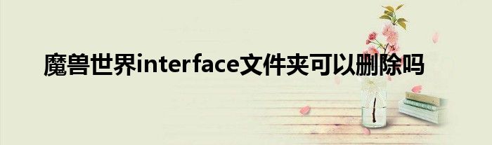 魔兽世界interface文件夹可以删除吗