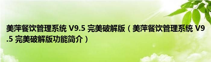 美萍餐饮管理系统 V9.5 完美破解版【美萍餐饮管理系统 V9.5 完美破解版功能简介】