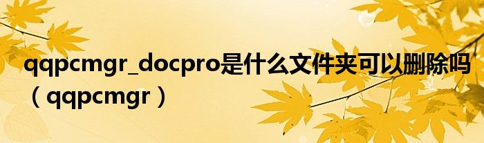 qqpcmgr_docpro是什么文件夹可以删除吗【qqpcmgr】