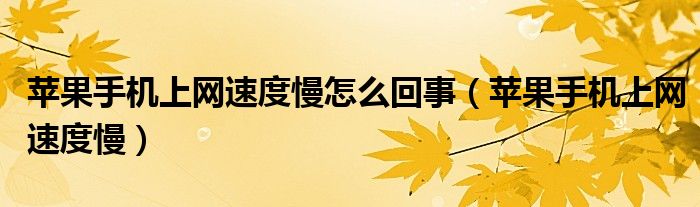 苹果手机上网速度慢怎么回事【苹果手机上网速度慢】