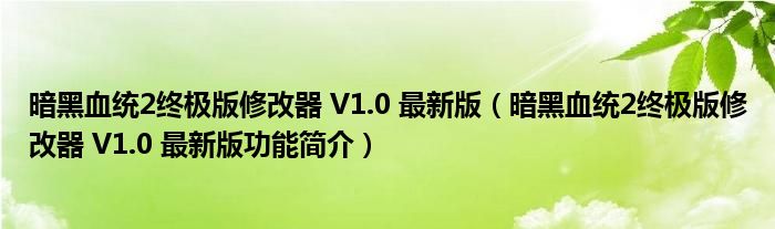 暗黑血统2终极版修改器 V1.0 最新版【暗黑血统2终极版修改器 V1.0 最新版功能简介】