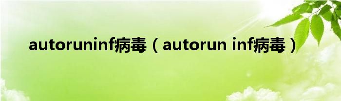 autoruninf病毒【autorun inf病毒】