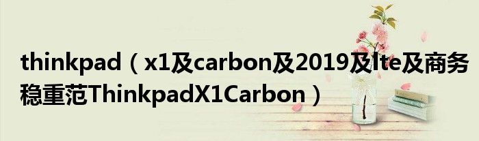 thinkpad【x1及carbon及2019及lte及商务稳重范ThinkpadX1Carbon】