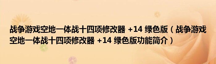 战争游戏空地一体战十四项修改器 +14 绿色版【战争游戏空地一体战十四项修改器 +14 绿色版功能简介】