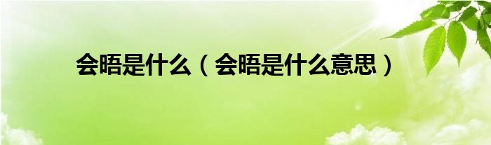 会晤是什么【会晤是什么意思】