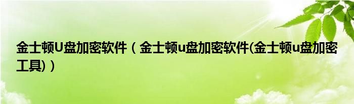 金士顿U盘加密软件【金士顿u盘加密软件(金士顿u盘加密工具)】