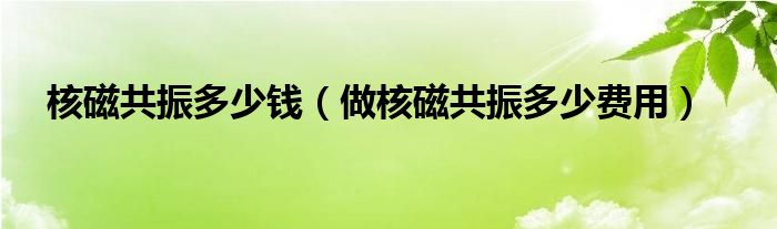 核磁共振多少钱【做核磁共振多少费用】