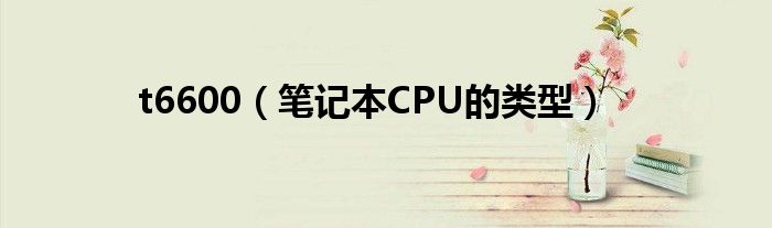 t6600【笔记本CPU的类型】