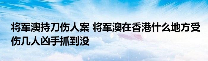 将军澳持刀伤人案 将军澳在香港什么地方受伤几人凶手抓到没