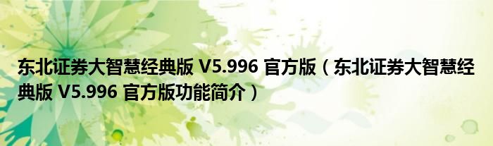 东北证券大智慧经典版 V5.996 官方版【东北证券大智慧经典版 V5.996 官方版功能简介】