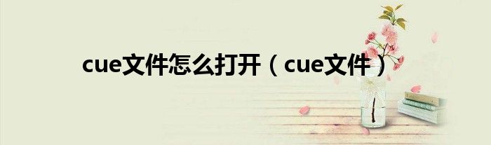 cue文件怎么打开【cue文件】