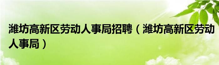 潍坊高新区劳动人事局招聘【潍坊高新区劳动人事局】