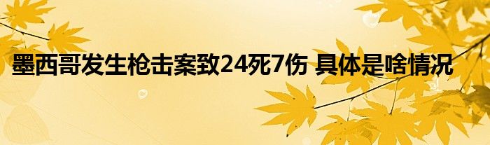 墨西哥发生枪击案致24死7伤 具体是啥情况