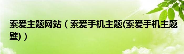 索爱主题网站【索爱手机主题(索爱手机主题壁)】