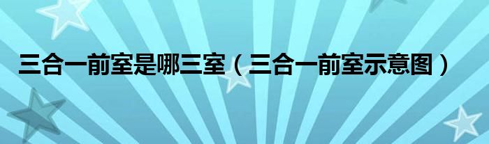 三合一前室是哪三室【三合一前室示意图】