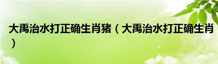 大禹治水打正确生肖猪【大禹治水打正确生肖】