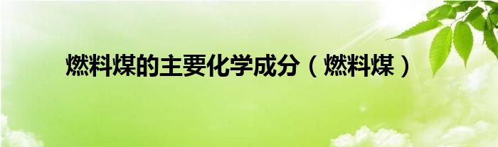 燃料煤的主要化学成分【燃料煤】