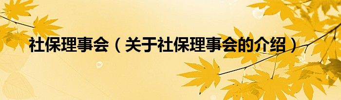 社保理事会【关于社保理事会的介绍】