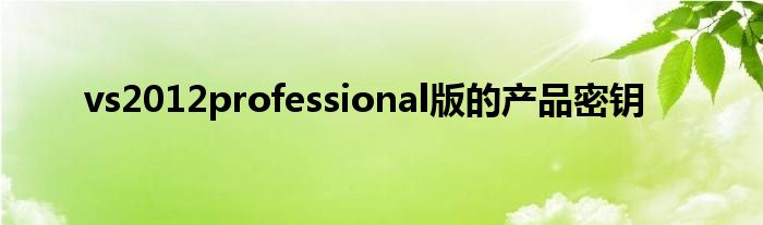 vs2012professional版的产品密钥