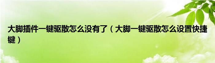 大脚插件一键驱散怎么没有了【大脚一键驱散怎么设置快捷键】