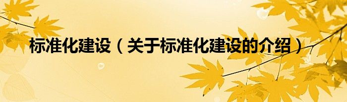 标准化建设【关于标准化建设的介绍】