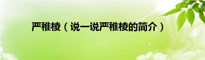 严稚棱【说一说严稚棱的简介】