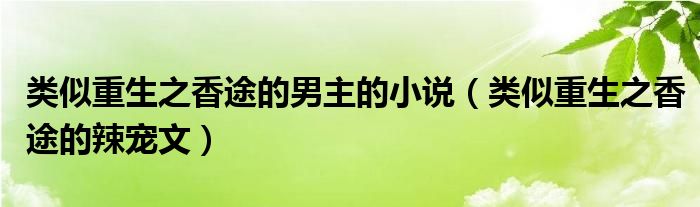 类似重生之香途的男主的小说【类似重生之香途的辣宠文】