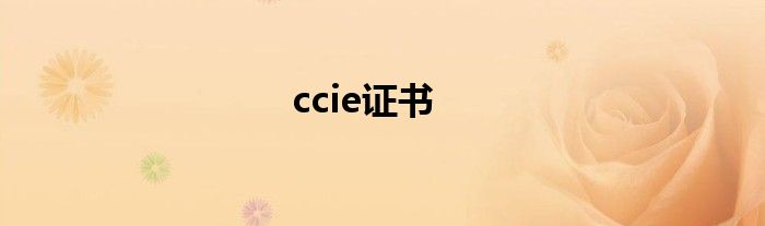 ccie证书