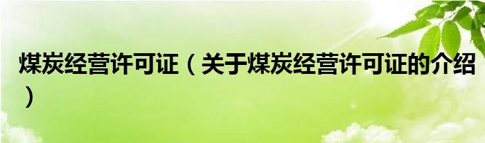 煤炭经营许可证【关于煤炭经营许可证的介绍】