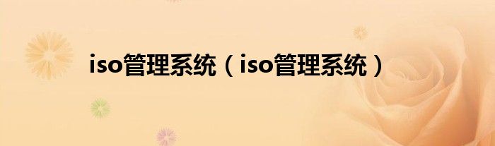 iso管理系统【iso管理系统】