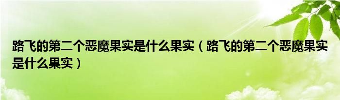 路飞的第二个恶魔果实是什么果实【路飞的第二个恶魔果实是什么果实】