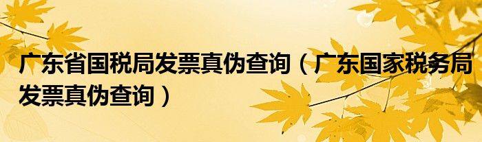 广东省国税局发票真伪查询【广东国家税务局发票真伪查询】