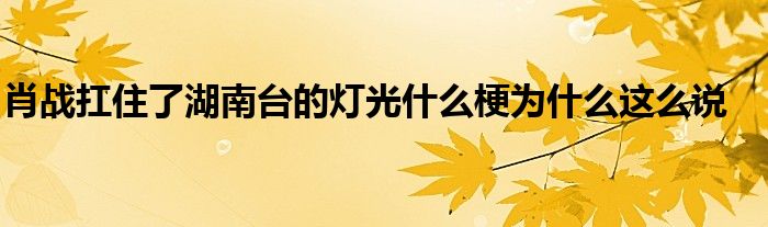 肖战扛住了湖南台的灯光什么梗为什么这么说