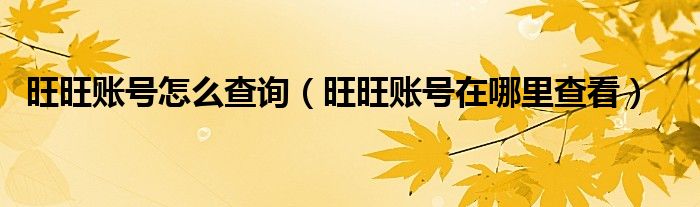 旺旺账号怎么查询【旺旺账号在哪里查看】