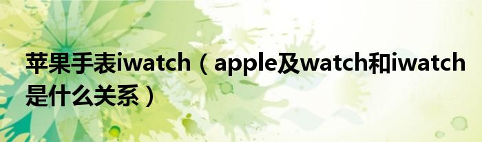 苹果手表iwatch【apple及watch和iwatch是什么关系】