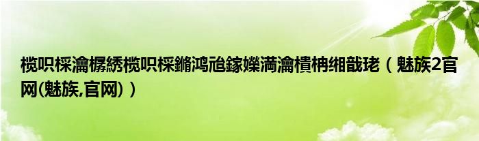 榄呮棌瀹樼綉榄呮棌鏅鸿兘鎵嬫満瀹樻柟缃戠珯【魅族2官网(魅族,官网)】