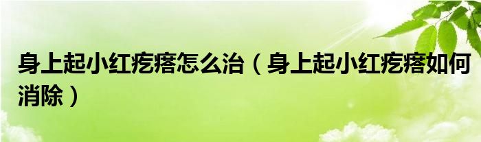 身上起小红疙瘩怎么治【身上起小红疙瘩如何消除】