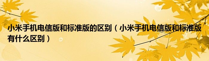 小米手机电信版和标准版的区别【小米手机电信版和标准版有什么区别】