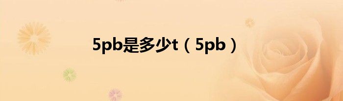 5pb是多少t【5pb】