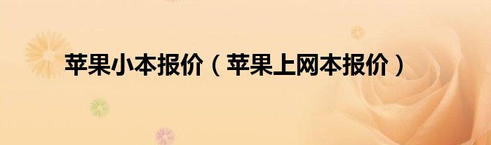 苹果小本报价【苹果上网本报价】