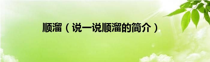 顺溜【说一说顺溜的简介】