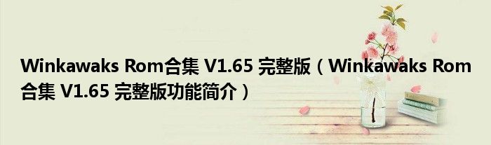 Winkawaks Rom合集 V1.65 完整版【Winkawaks Rom合集 V1.65 完整版功能简介】