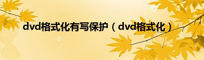 dvd格式化有写保护【dvd格式化】