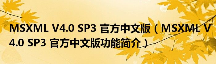 MSXML V4.0 SP3 官方中文版【MSXML V4.0 SP3 官方中文版功能简介】