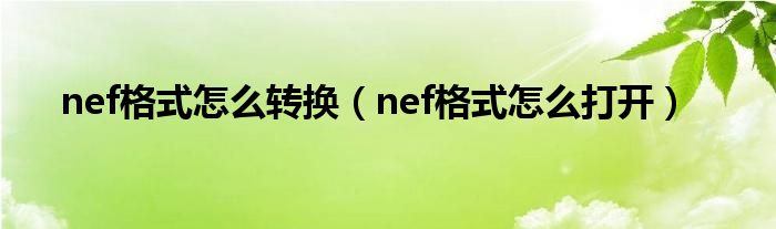 nef格式怎么转换【nef格式怎么打开】