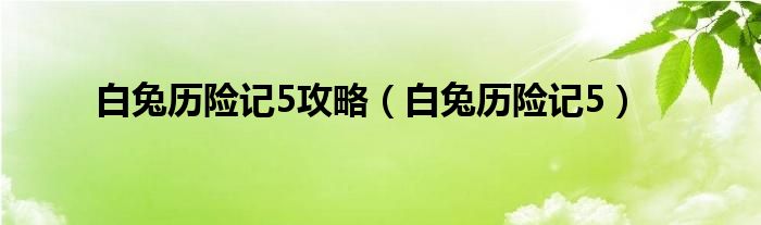 白兔历险记5攻略【白兔历险记5】