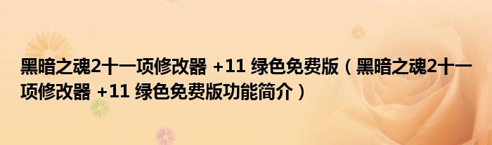 黑暗之魂2十一项修改器 +11 绿色免费版【黑暗之魂2十一项修改器 +11 绿色免费版功能简介】