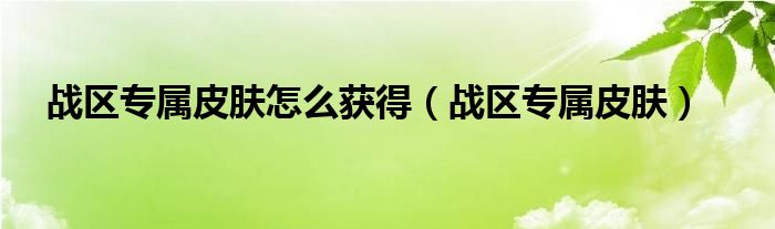 战区专属皮肤怎么获得【战区专属皮肤】