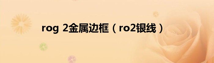 rog 2金属边框【ro2银线】