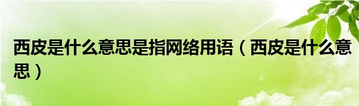 西皮是什么意思是指网络用语【西皮是什么意思】